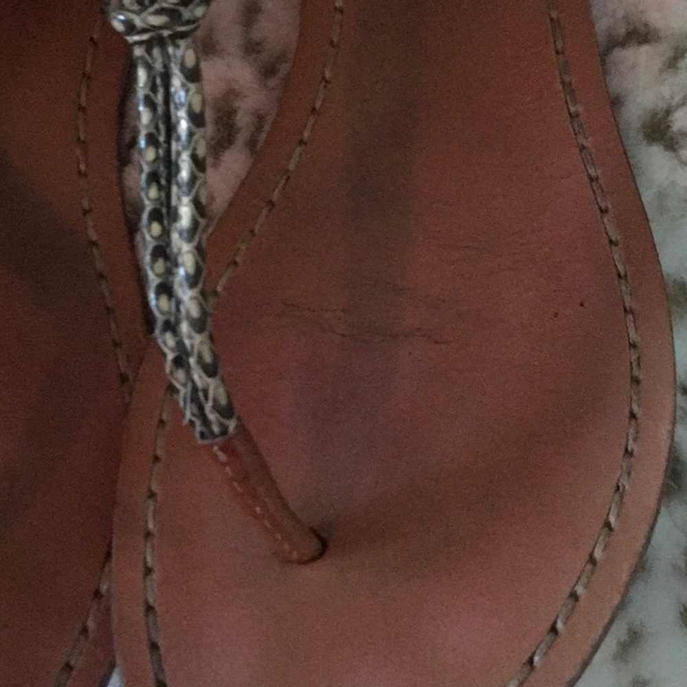Snake Coach Sandals - Picture 6 of 6